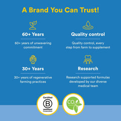 Illustration representing bones and vascular health