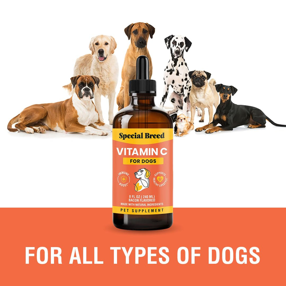 Natural formula Vitamin C for dogs in liquid form