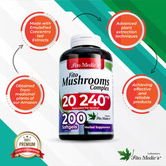 Ingredient highlights and natural mushroom extracts