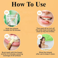 Close-up of miswak tip for brushing