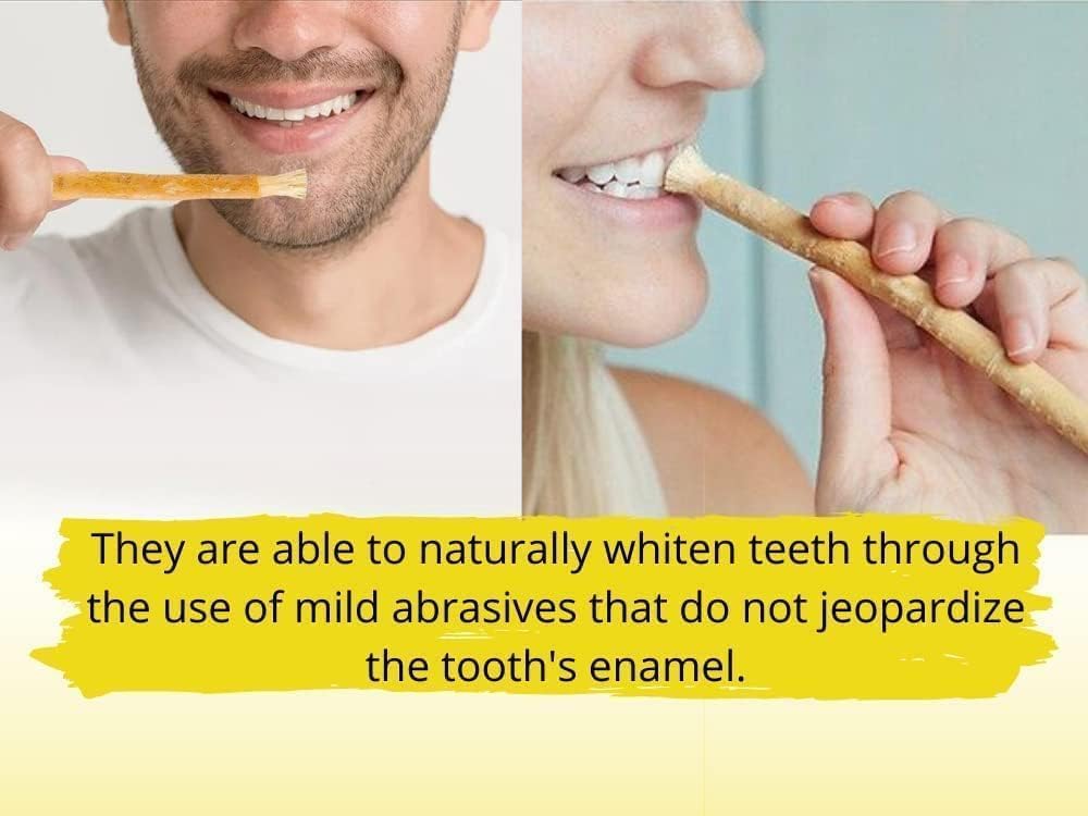 Miswak stick being used for brushing teeth