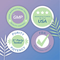 Natural nootropic benefits of fisetin for memory and focus