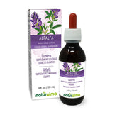 Naturalma Alfalfa tincture bottle 4 fl oz