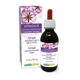 Naturalma Astragalus root tincture bottle, 4 fl oz