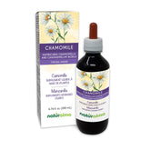 Naturalma Chamomile tincture bottle with 1:10 concentrate label