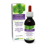 Naturalma Gotu Kola tincture bottle 4 oz