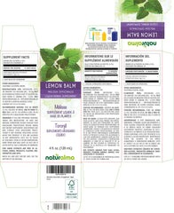 Lemon balm leaves (Melissa officinalis) used for tincture