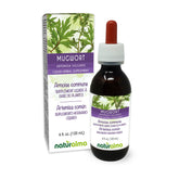Bottle of Naturalma Mugwort (Artemisia vulgaris) tincture 4 fl oz with dropper
