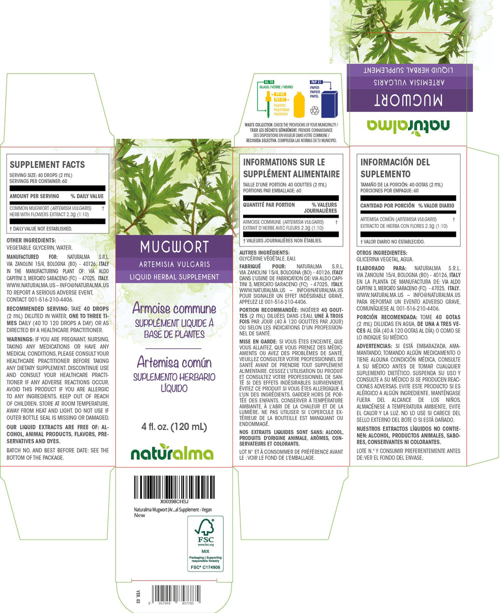 Mugwort flowers tincture close-up