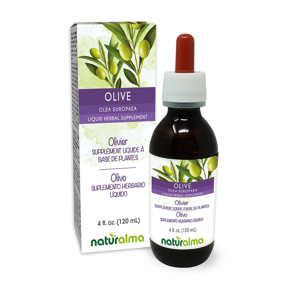 Naturalma Olive Leaf Tincture bottle 4 fl oz