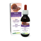 Naturalma Reishi tincture bottle 4 oz