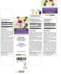 Close-up of echinacea root and herb liquid extract
