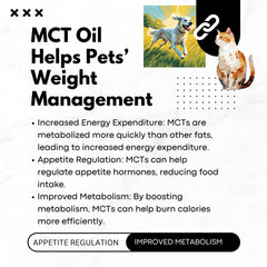 MCT oil derived from organic coconuts, suitable for humans and pets