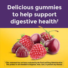 Shelf-stable probiotic gummies no refrigeration required