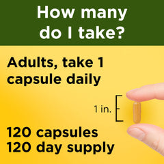 Label detail of Nature Made Turmeric Curcumin 500 mg showing standardized extract.