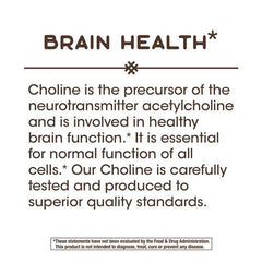 Pack of 2 Nature's Way Choline bottles