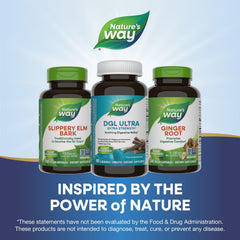 90 chewable tablets in Nature's Way DGL Ultra bottle