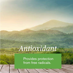 Ingredients panel of Nature's Sunshine E-Tea Capsules