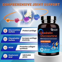 Ingredient lineup showing Glucosamine, Chondroitin, and MSM