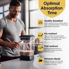 Powder form of vanilla isolate whey protein in scoop