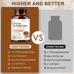 Mushroom supplement highlighting energy and immune support