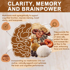 Lion's Mane mushroom shown as part of the supplement
