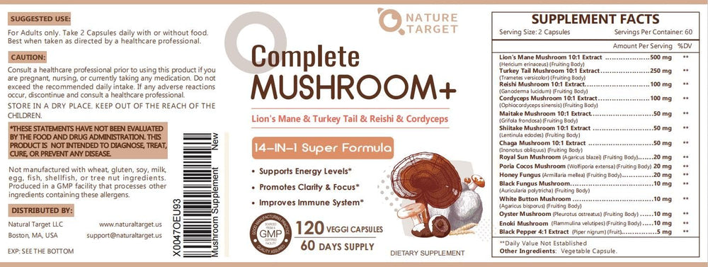 Memory and focus enhancement with mushroom complex