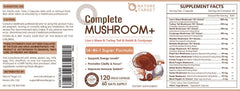 Memory and focus enhancement with mushroom complex
