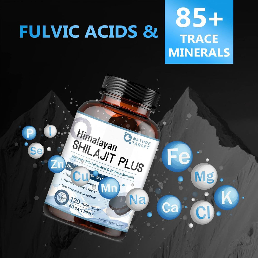 500mg potency Nature Target Shilajit capsules