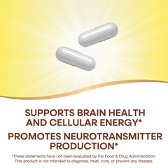 Supplement facts panel for Nature's Way Choline & Inositol