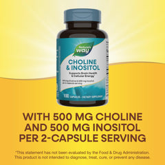 Brain health and cellular energy concept featuring choline and inositol
