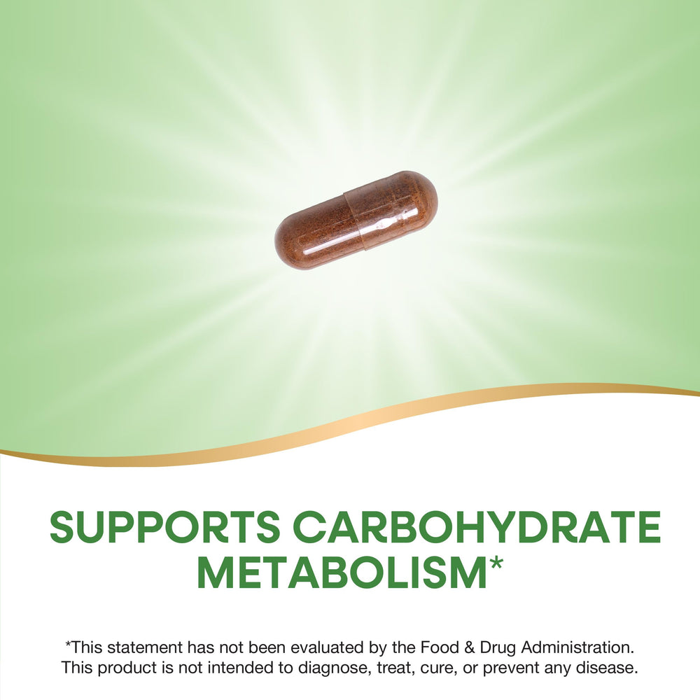 Two bottles of Nature's Way Cinnamon Extract