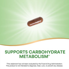 Two bottles of Nature's Way Cinnamon Extract
