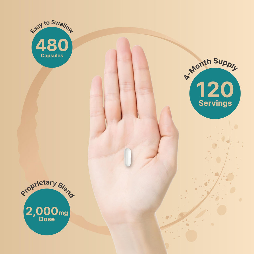 Third-party testing seal on NatureBell packaging