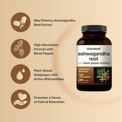 Plant-based adaptogen with antioxidants and withanolides