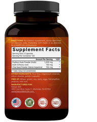 Digestive health and gut health concept imagery