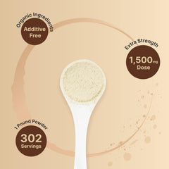 Lion's Mane powder showing mycelium and fruiting body source