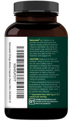 Graphic showing memory and focus benefits of NatureBell Ginkgo Biloba