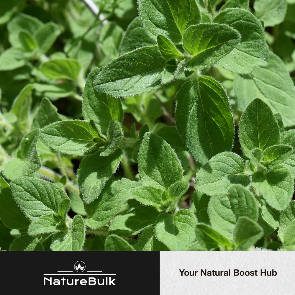 Packaging and label of NatureBulk oregano oil capsules