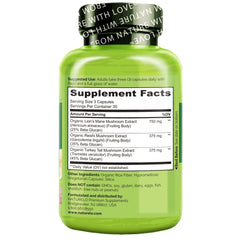 Close-up of Reishi mushroom used in the blend