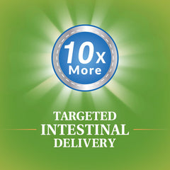 Gut health illustration featuring probiotics