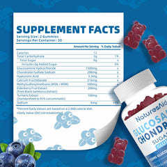 Gummies bottle highlighting MSM and elderberry flavor