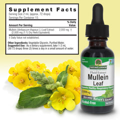 Nature's Answer Mullein Leaf Extract bottle on white background
