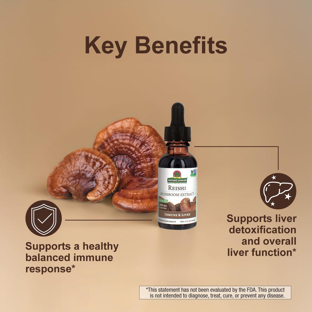 Artistic illustration of Reishi mushroom fruiting body