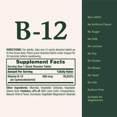 Graphic showing Vitamin B12 benefits for energy metabolism and nervous system health