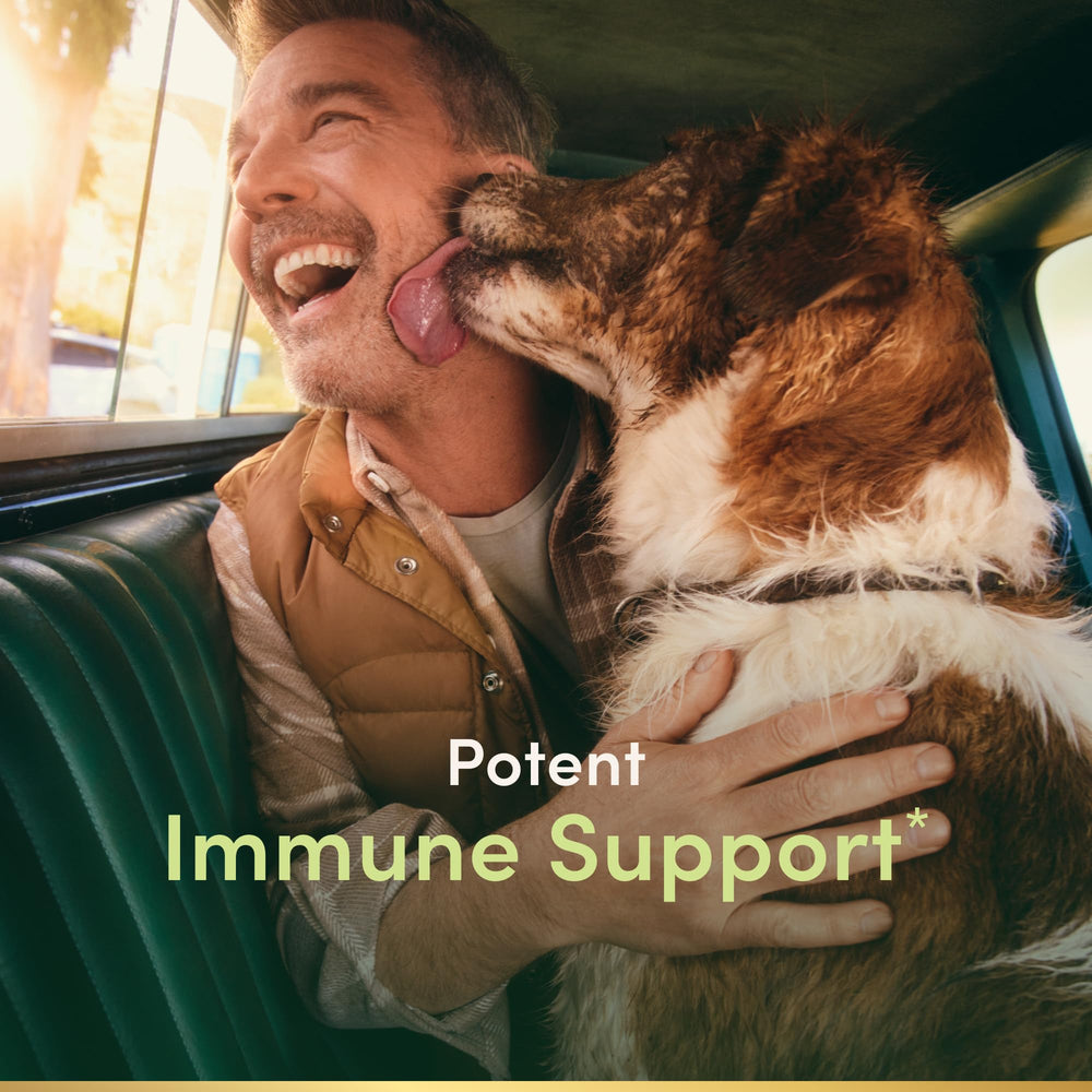 Back label of Nature's Bounty Quercetin 500mg immune support bottle