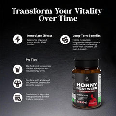Panax Ginseng extract bottle showcasing key energizing components
