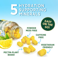 Vegan non-GMO electrolyte gummies with real salt and minerals