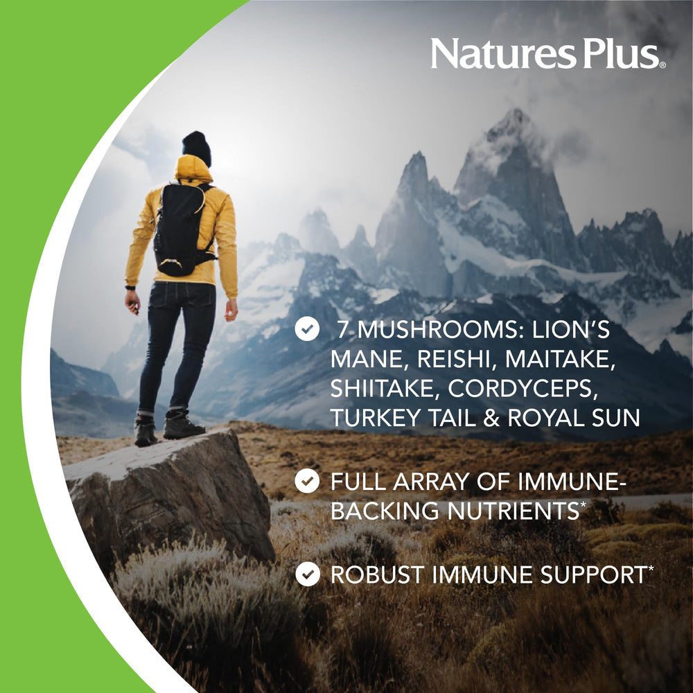 Concept image of fruiting body mushroom extracts for Immune Mushroom