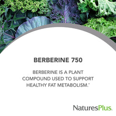 Natures Plus PRO Berberine label